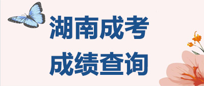 湖南成考成績(jī)查詢