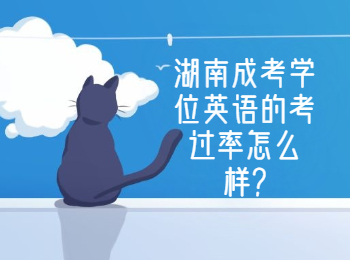 湖南成人高考的學(xué)位英語考過率